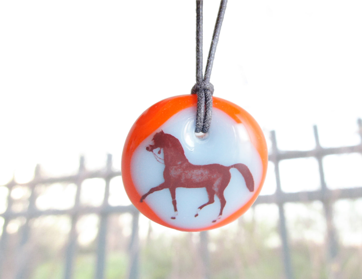 Horse jewelry shown with grass and fence