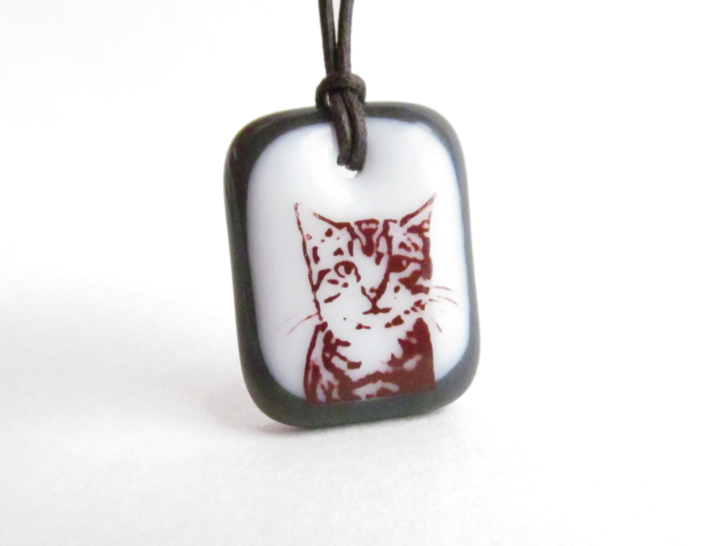 Grey and white tabby cat gift